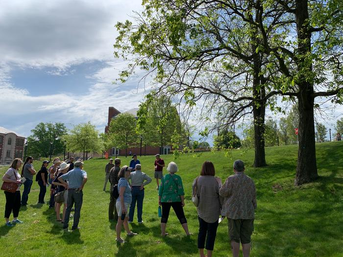 A few of the trees that are thought to be from the original UConn Forest, before the founding of the University