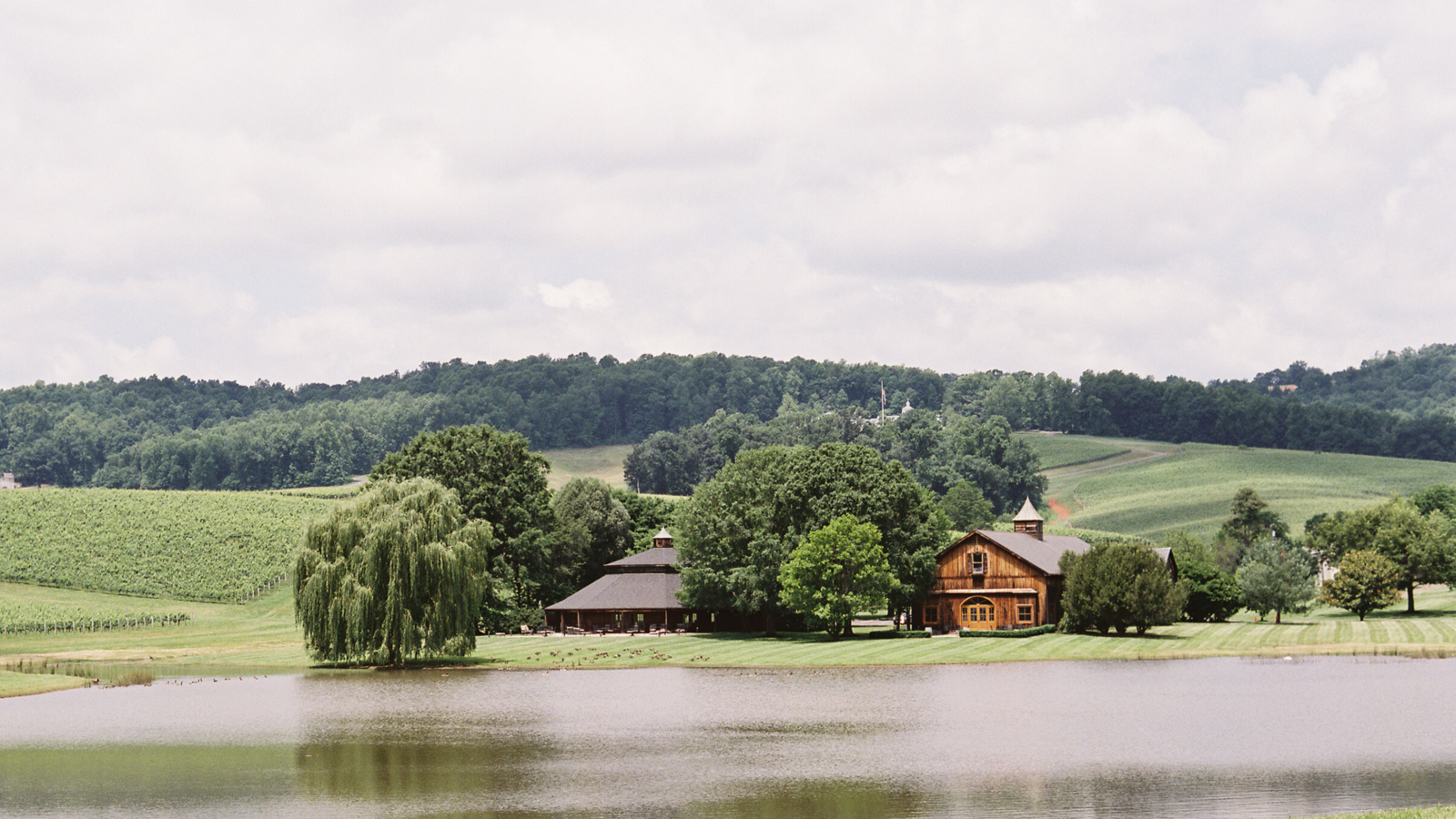 Monticello Wine Week: Rosé Picnic in Charlottesville Checkout