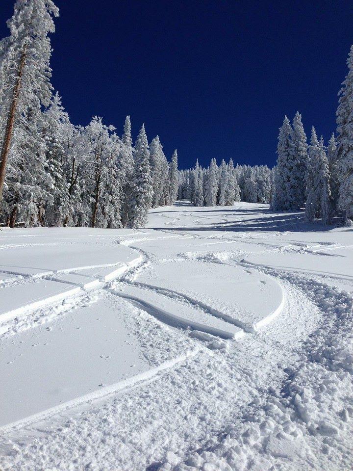 Arizona Snowbowl Day Trip