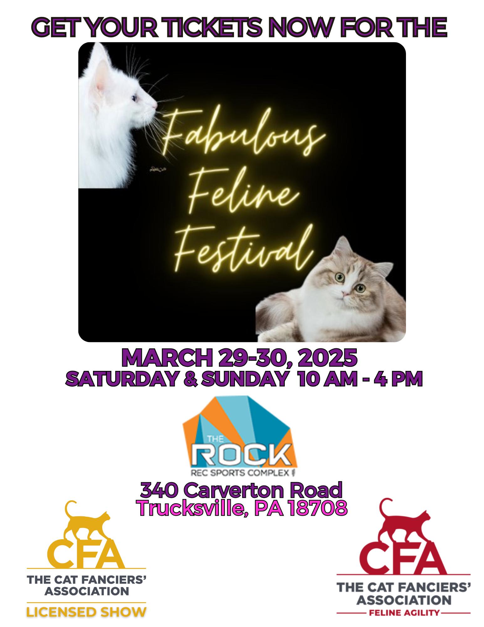 Come to the Fabulous Feline Festival!