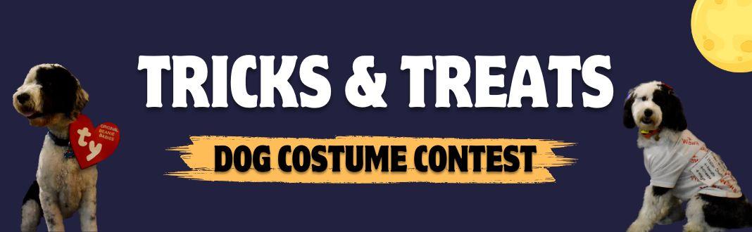 Tricks & Treats: Doggie Costume Contest