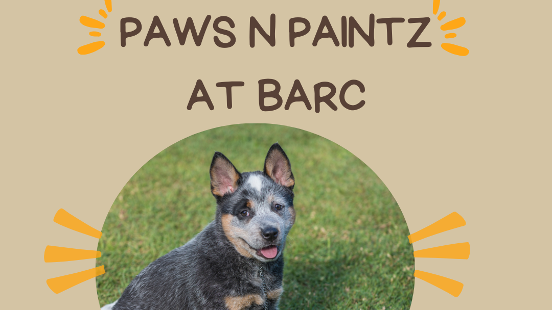 Paws n Paintz with BARC Puppies in Sydney Checkout
