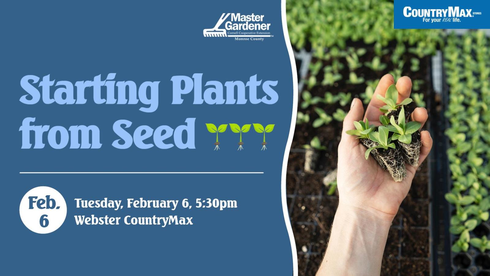 Tickets for Cornell at CountryMax Starting Plants from Seed in ster from Ticketleap