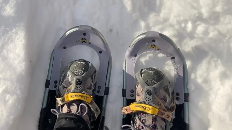 Tickets for First Day Hike or Snowshoe! in Macedon from TicketLeap