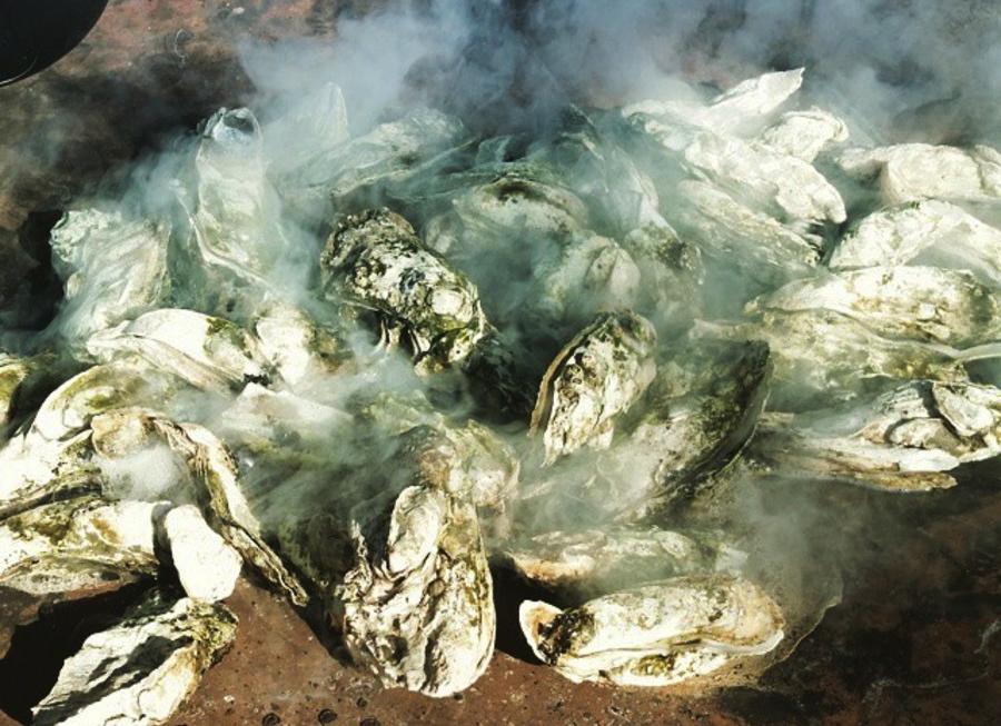 6th Annual Oyster Roast