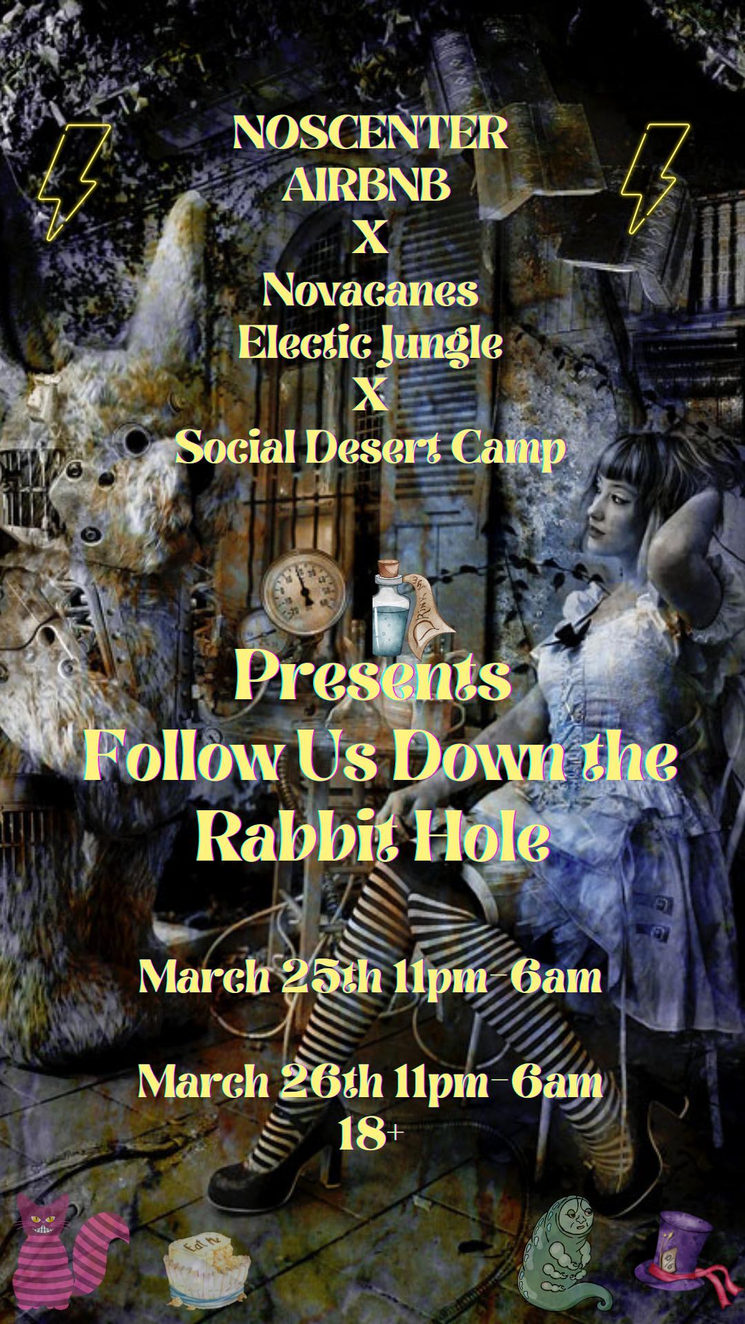 Follow Us Down the Rabbit Hole
