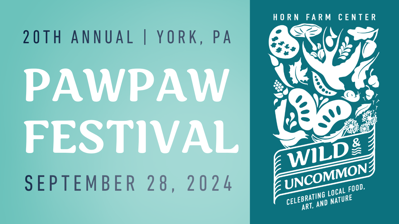 Tickets for York County Pawpaw Festival in York from TicketLeap