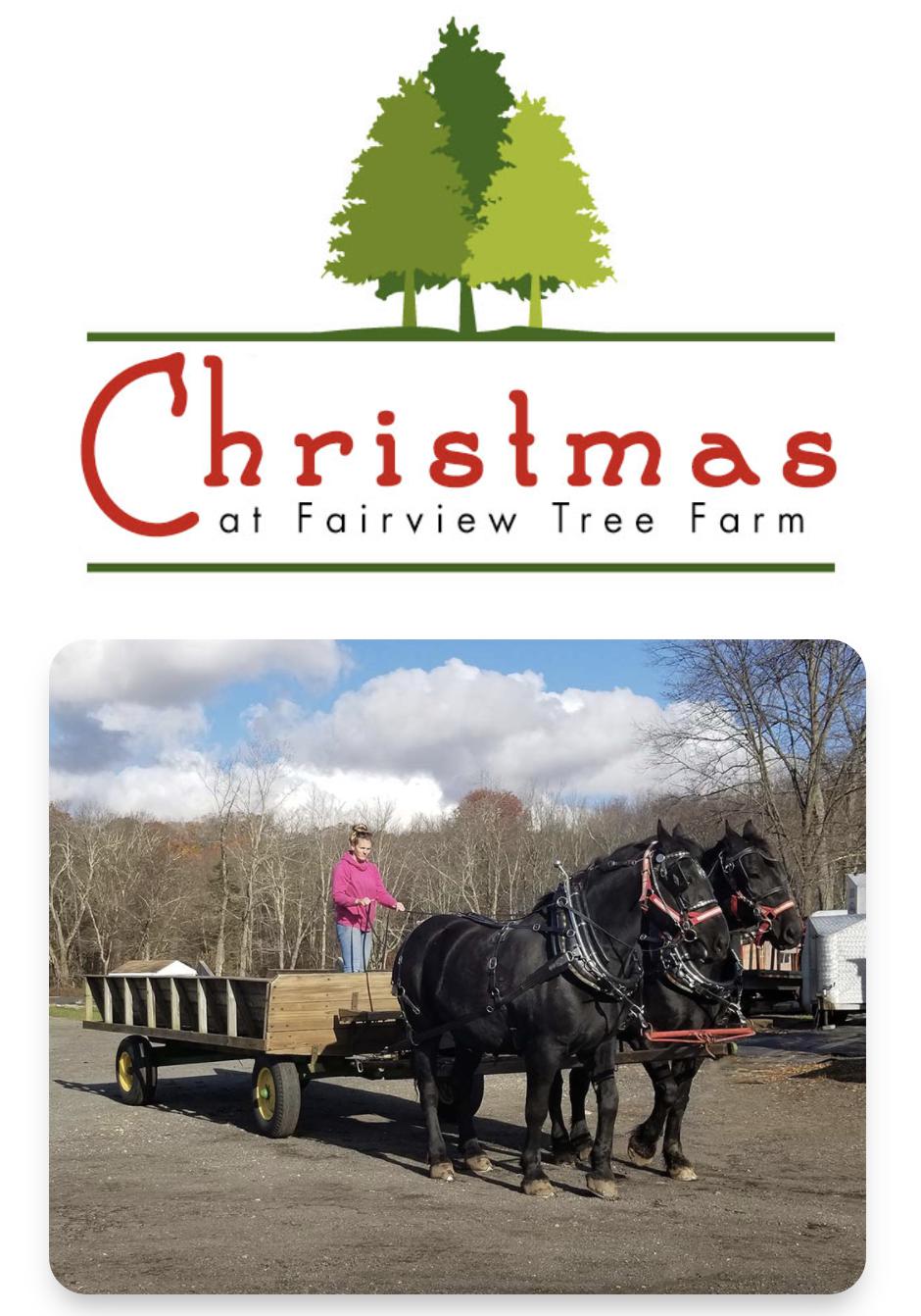Horse Drawn Family Hayrides