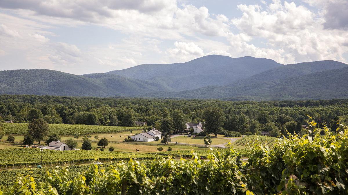 Wine Tasting Monticello Wine Trail Charlottesville Virginia