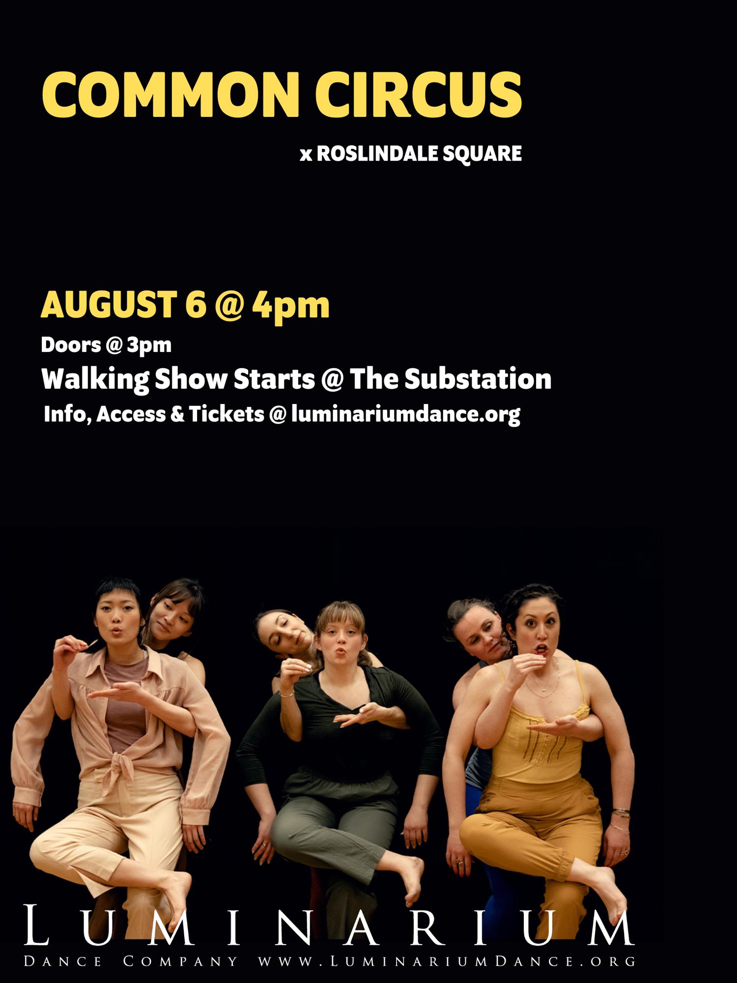 COMMON CIRCUS: Roslindale Square (a walking tour)