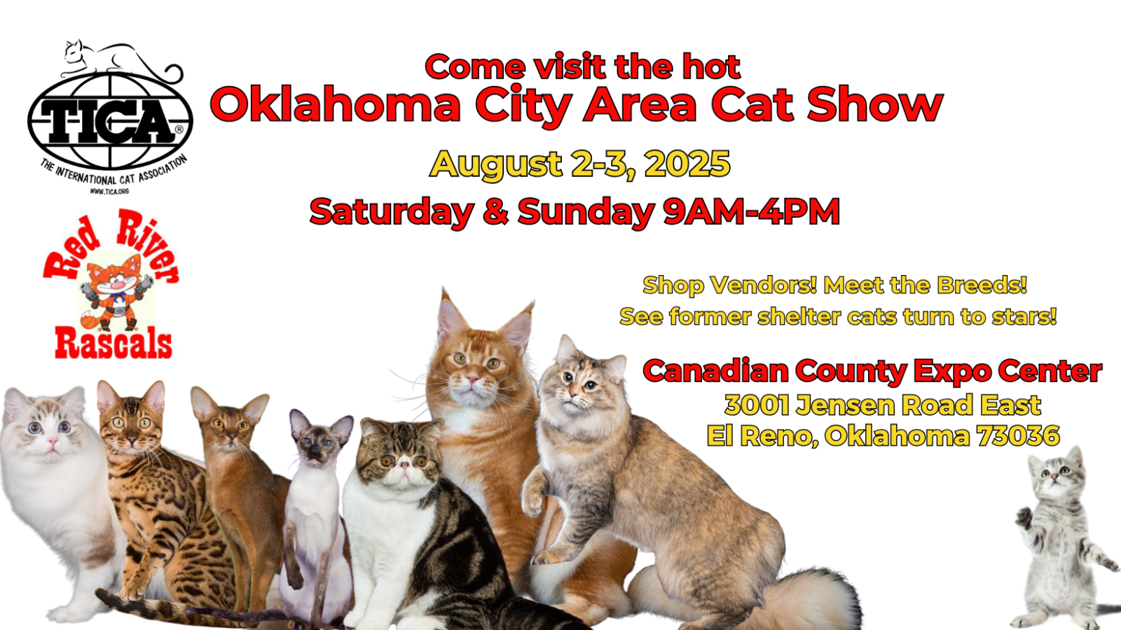 Which 40 Cats Breeds Will Be Featured at Westminster: Top Picks Revealed